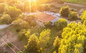 The Vineyards