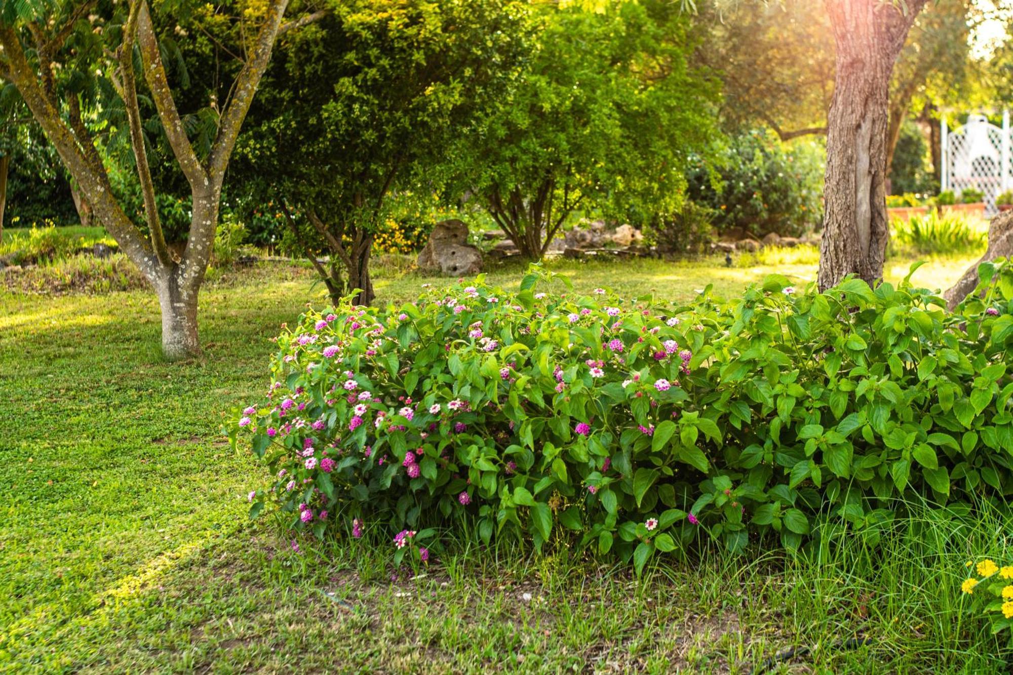 The Vineyards Bed & Breakfast Alghero Exterior photo